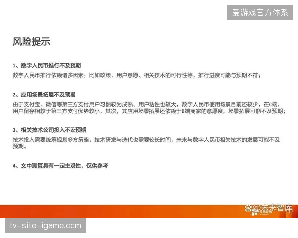 欧洲世界杯分销渠道深度梳理：从电子票据到实名制准入的全面技术复盘